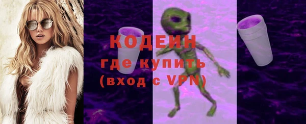 хмурый Бородино
