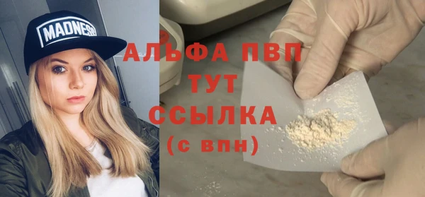 PSILOCYBIN Верея