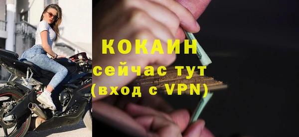 хмурый Бородино