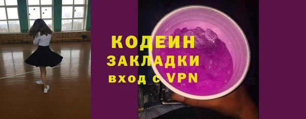 хмурый Бородино