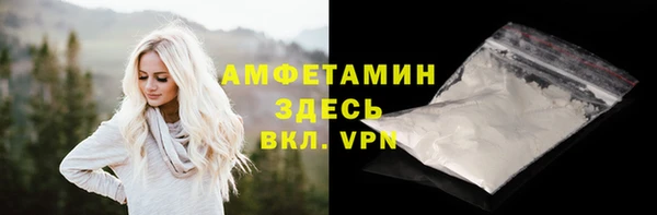 хмурый Бородино