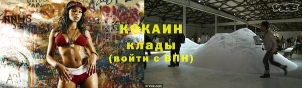 хмурый Бородино